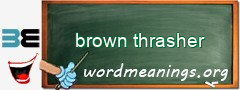 WordMeaning blackboard for brown thrasher